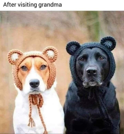 po návšteve u babky